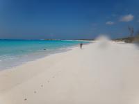 <h2>ANEGADA BVI</h2><p>ONE OF THE BIGGEST I HAVE WALKED!</p>